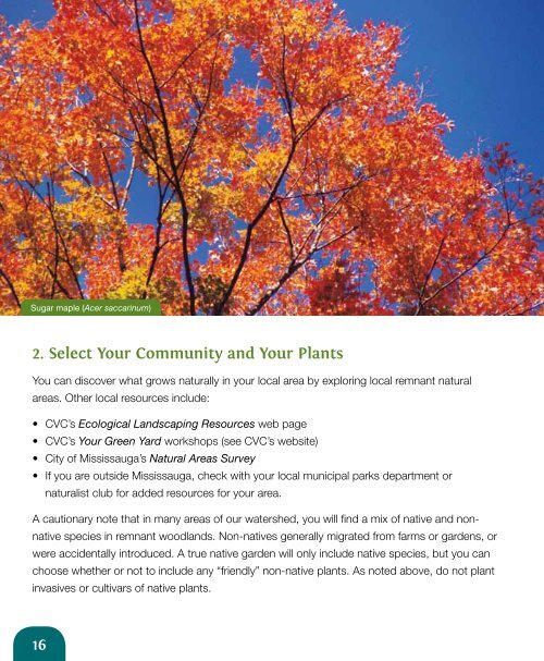 Native Woodland Gardens for Homes - Credit Valley Conservation