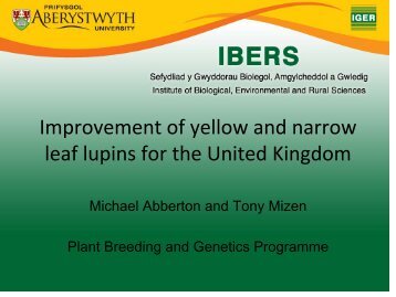 Improvement of yellow and narrow leaf lupins for the ... - Lupins.org