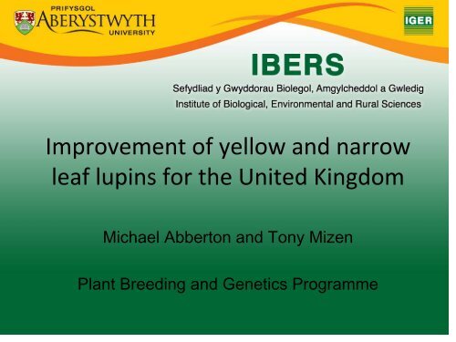 Improvement of yellow and narrow leaf lupins for the ... - Lupins.org