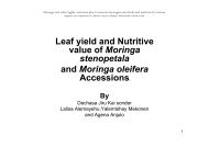 Leaf yield and Nutritive value of Moringa stenopetala ... - Moringanews