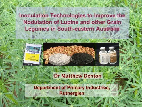Inoculation Technologies to Improve the Nodulation of ... - Lupins.org