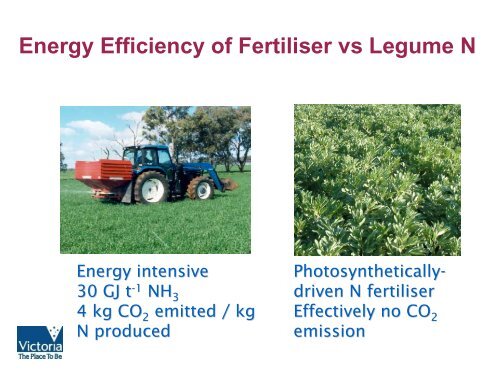 Inoculation Technologies to Improve the Nodulation of ... - Lupins.org