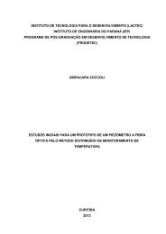 PDF - DissertaÃ§Ã£o - Lactec