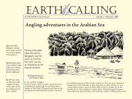 earth calling - CGH Earth