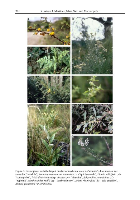 Medicinal Plants Classification Biosynthesis and ... - Index of