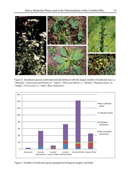 Medicinal Plants Classification Biosynthesis and ... - Index of