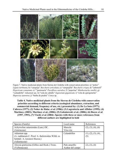 Medicinal Plants Classification Biosynthesis and ... - Index of