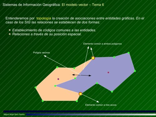 El modelo vector