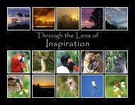 Through_the_Lens_of_Inspiration-EricLevin.pdf