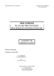 Rapport de présentation PERI CUS Holtzheim - Préfecture de la ...