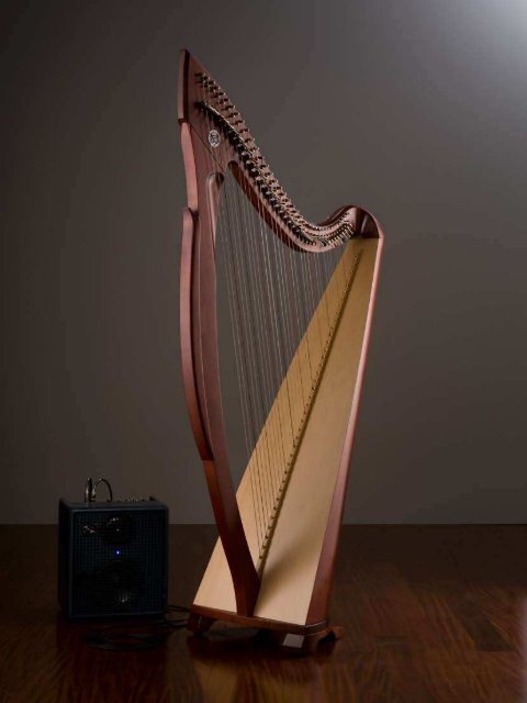 ELETTROACUSTICA - Salvi Harps, Inc.