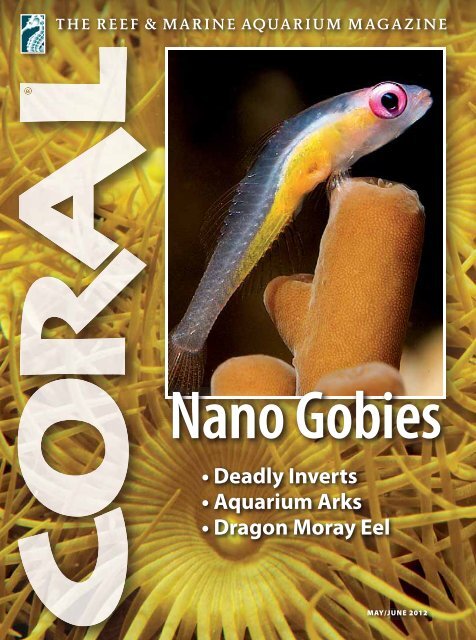 Nano Gobies