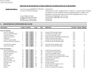 Formato Fichero Suministros