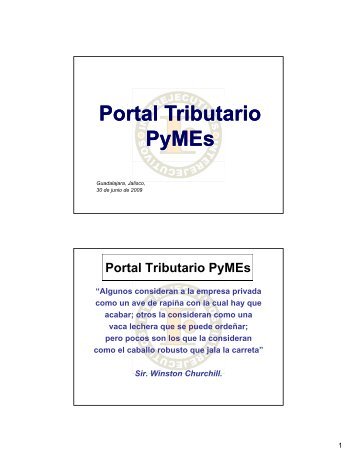 219-PORTAL TRIBUTARIO PyMES 30 JUNIO 2009 - Interejecutivos