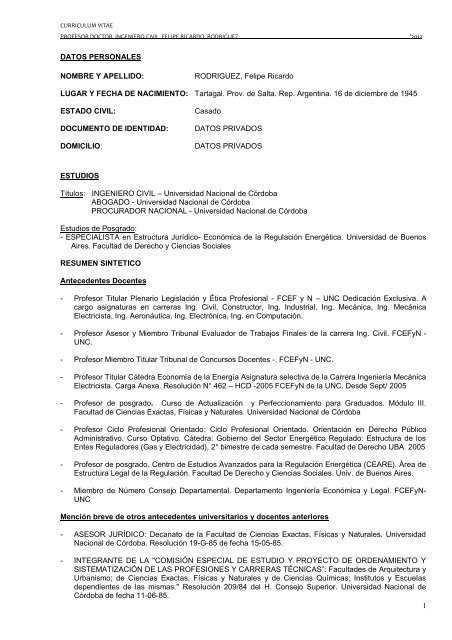 curriculum vitae profesor doctor ingeniero civil ... - Felipe RodrÃ­guez