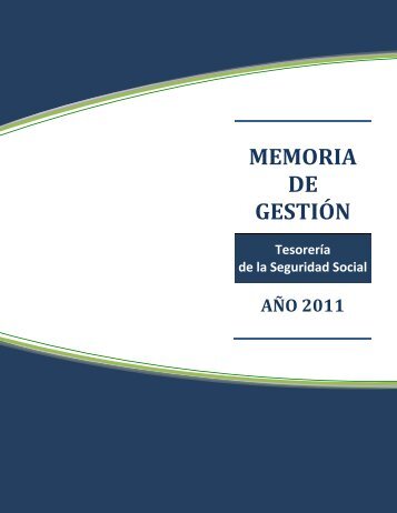 MEMORIA DE GESTIÃN - TSS