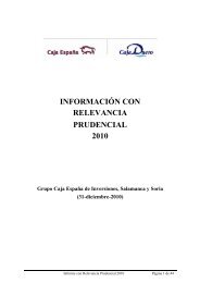 Informe con Relevancia Prudencial 2010 - Caja EspaÃ±a-Duero