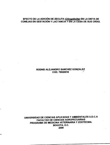 coD.79520018 -'J - Universidad de Ciencias Aplicadas y ...