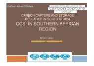 PETER ZHOU- EECG.pdf - South African Centre for Carbon Capture ...