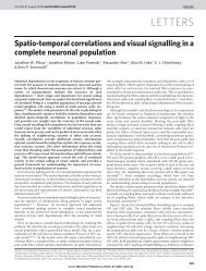 Pillow et al. Spatio-temporal correlations and visual signalling in a ...