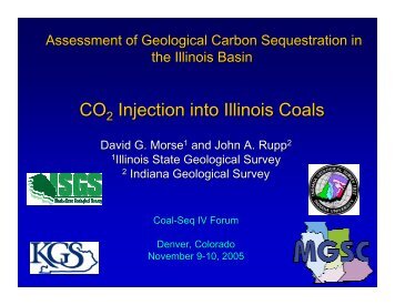 CO Injection into Illinois Coals - Coal-Seq
