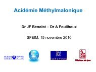 AMM - SFEIM