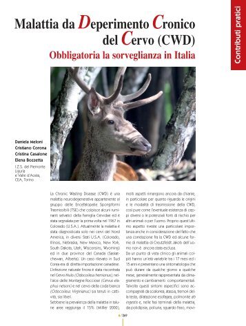 Malattia da Deperimento Cronico del Cervo (CWD) Obbligatoria la ...