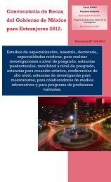 Convocatoria de Becas del Gobierno de MÃ©xico para Extranjeros ...
