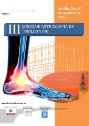 CURSO DE ARTROSCOPIA DE TOBILLO Y PIE - Fremap