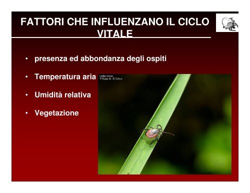 ecologia e diffusione delle zecche in veneto - Dipartimento di ...