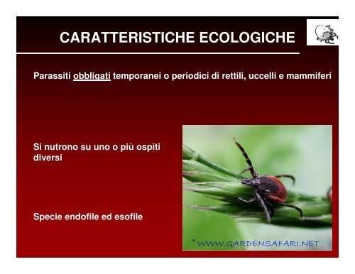 ecologia e diffusione delle zecche in veneto - Dipartimento di ...