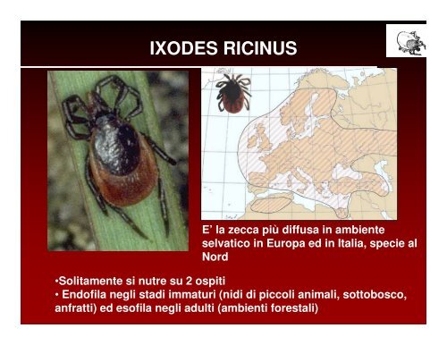 ecologia e diffusione delle zecche in veneto - Dipartimento di ...