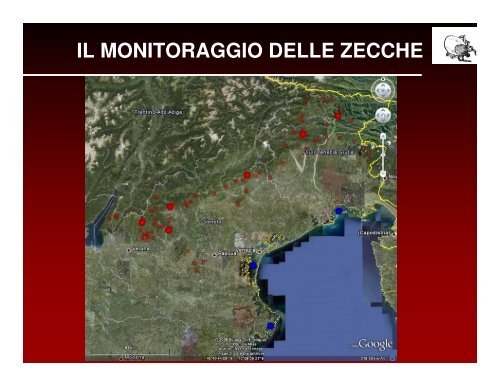 ecologia e diffusione delle zecche in veneto - Dipartimento di ...