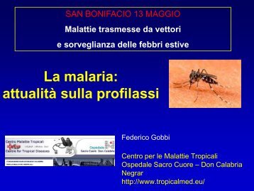 La malaria: attualità sulla profilassi - Dipartimento di Prevenzione ...