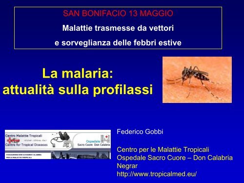 La malaria: attualità sulla profilassi - Dipartimento di Prevenzione ...