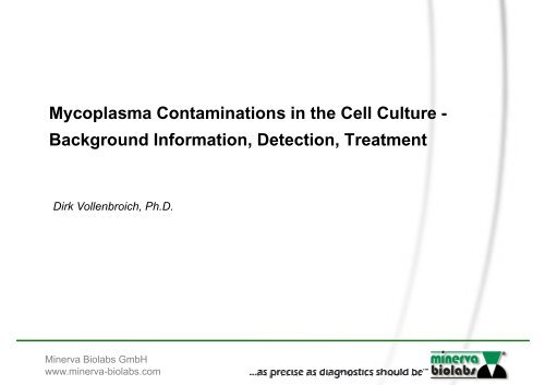 Mycoplasma Contaminations in the Cell Culture ... - Minerva Biolabs