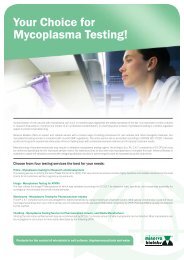 Flyer Mycoplasma Testing - Minerva Analytix GmbH