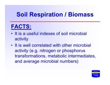 Soil Respiration / Biomass FACTS