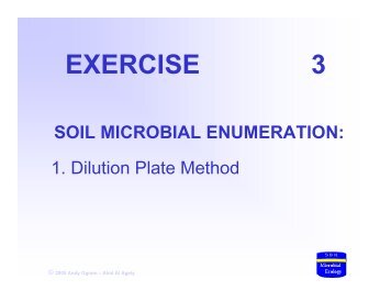 exercise 3 soil microbial enumeration