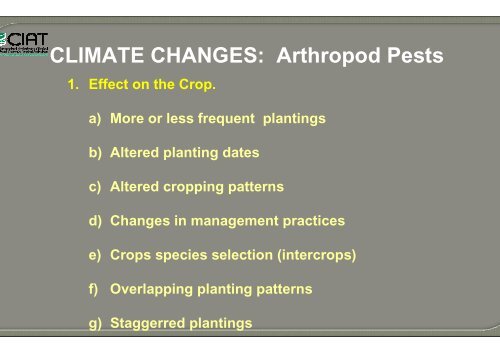 Bellotti, A.; Crop-insect interactions using cassava as a model