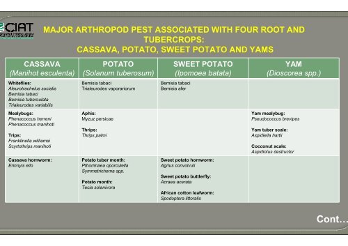 Bellotti, A.; Crop-insect interactions using cassava as a model