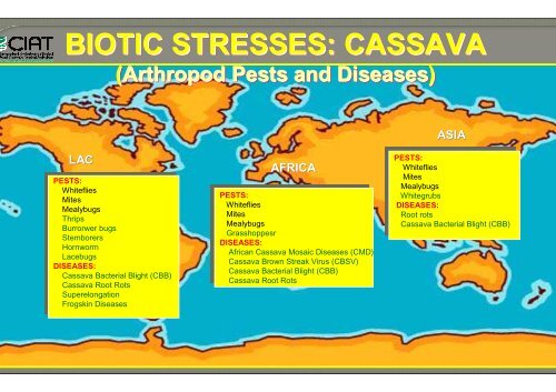 Bellotti, A.; Crop-insect interactions using cassava as a model