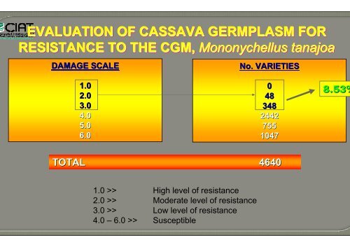 Bellotti, A.; Crop-insect interactions using cassava as a model