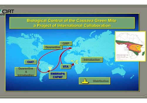 Bellotti, A.; Crop-insect interactions using cassava as a model