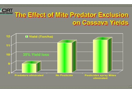 Bellotti, A.; Crop-insect interactions using cassava as a model