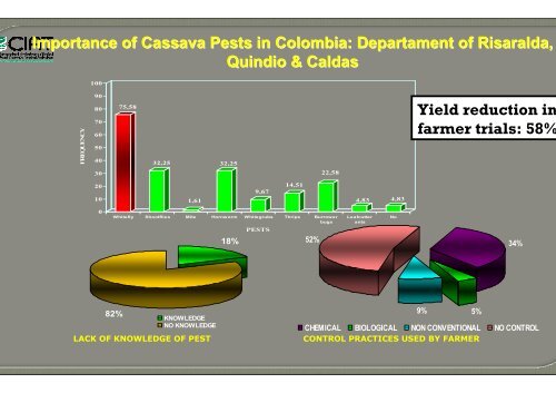 Bellotti, A.; Crop-insect interactions using cassava as a model