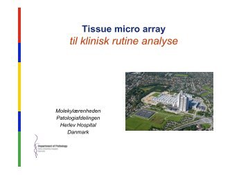 Tissue Micro Array - NordiQC