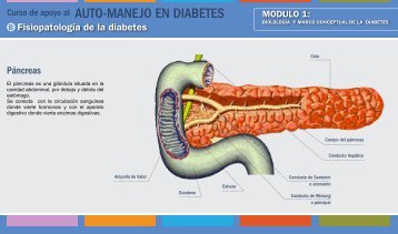 AUTO-MANEJO EN DIABETES - Aula Virtual Regional. Campus ...