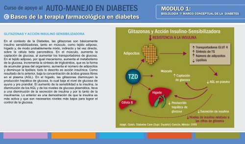 AUTO-MANEJO EN DIABETES - Aula Virtual Regional. Campus ...