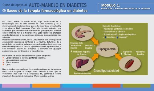 AUTO-MANEJO EN DIABETES - Aula Virtual Regional. Campus ...